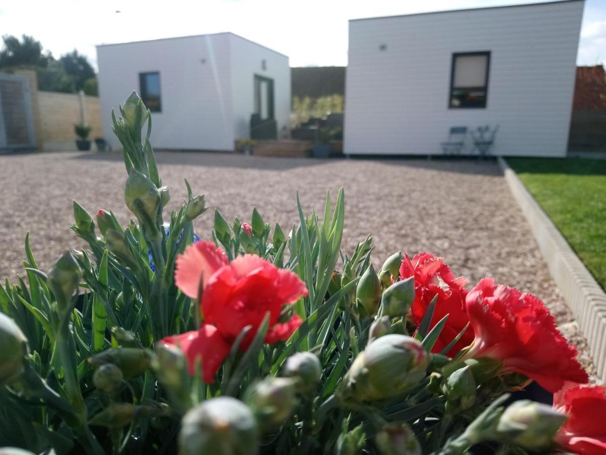 Au Cap Norwoe Panzió Saint-Quentin-en-Tourmont Kültér fotó